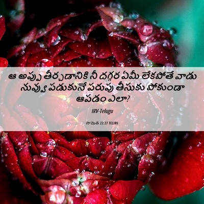 Picture 06 - సామెత 22:27 TELIRV - ఆ అప్పు - Bible Verse Picture