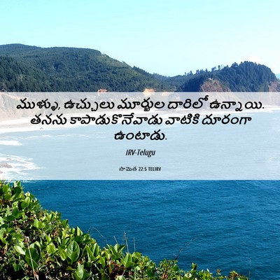 Picture 06 - సామెత 22:5 TELIRV - ముళ్ళు, ఉచ్చులు - Bible Verse Picture
