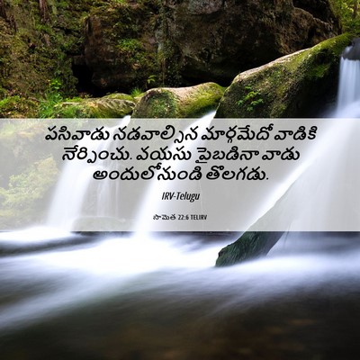 Picture 06 - సామెత 22:6 TELIRV - పసివాడు నడవాల్సిన - Bible Verse Picture