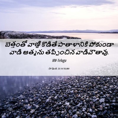 Picture 06 - సామెత 23:14 TELIRV - బెత్తంతో వాణ్ణి - Bible Verse Picture