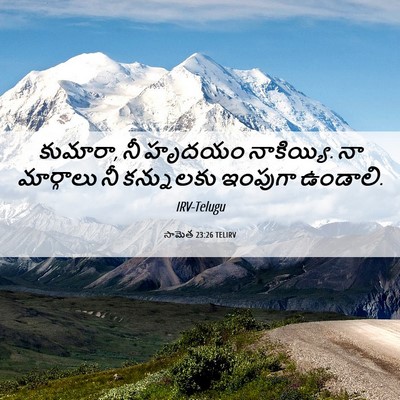 Picture 06 - సామెత 23:26 TELIRV - కుమారా, నీ హృదయం - Bible Verse Picture