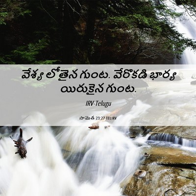 Picture 06 - సామెత 23:27 TELIRV - వేశ్య లోతైన గుంట. - Bible Verse Picture
