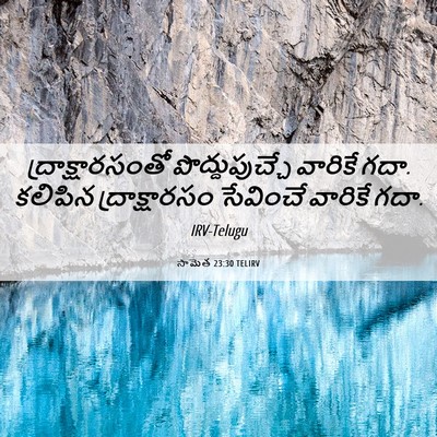 Picture 06 - సామెత 23:30 TELIRV - ద్రాక్షారసంతో - Bible Verse Picture