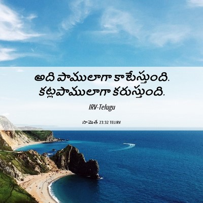 Picture 06 - సామెత 23:32 TELIRV - అది పాములాగా - Bible Verse Picture