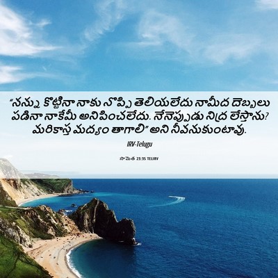 Picture 06 - సామెత 23:35 TELIRV - “నన్ను కొట్టినా - Bible Verse Picture