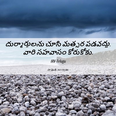 Picture 06 - సామెత 24:1 TELIRV - దుర్మార్గులను - Bible Verse Picture