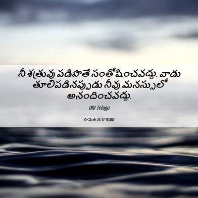Picture 06 - సామెత 24:17 TELIRV - నీ శత్రువు - Bible Verse Picture