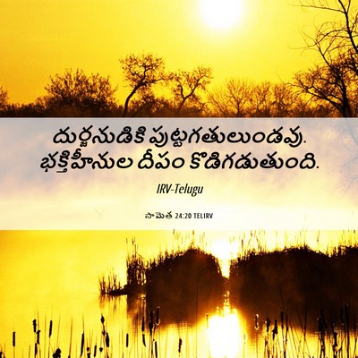 Picture 06 - సామెత 24:20 TELIRV - దుర్జనుడికి - Bible Verse Picture