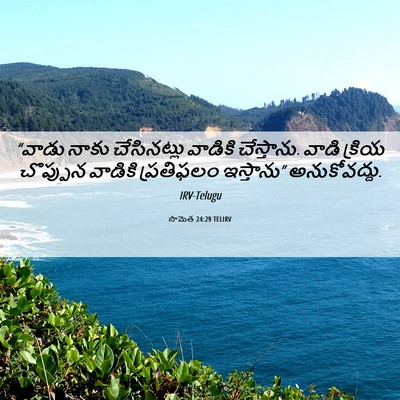 Picture 06 - సామెత 24:29 TELIRV - “వాడు నాకు - Bible Verse Picture