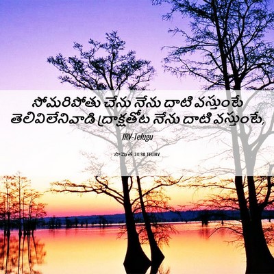 Picture 06 - సామెత 24:30 TELIRV - సోమరిపోతు చేను - Bible Verse Picture