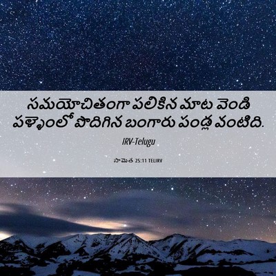 Picture 06 - సామెత 25:11 TELIRV - సమయోచితంగా పలికిన - Bible Verse Picture