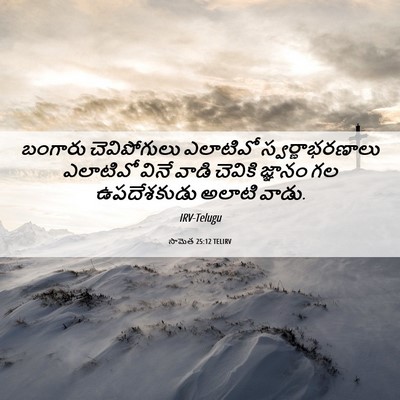 Picture 06 - సామెత 25:12 TELIRV - బంగారు చెవిపోగులు - Bible Verse Picture