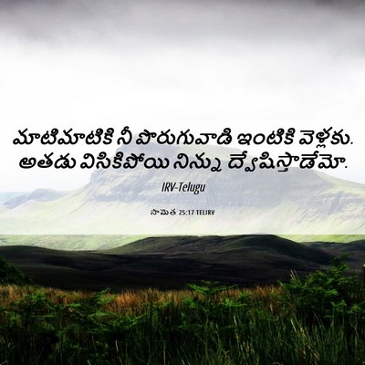 Picture 06 - సామెత 25:17 TELIRV - మాటిమాటికి నీ - Bible Verse Picture