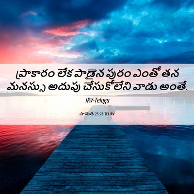 Picture 06 - సామెత 25:28 TELIRV - ప్రాకారం లేక - Bible Verse Picture