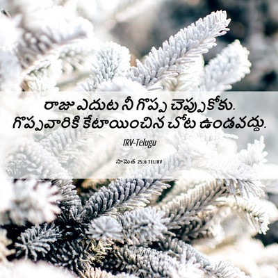 Picture 06 - సామెత 25:6 TELIRV - రాజు ఎదుట నీ గొప్ప - Bible Verse Picture
