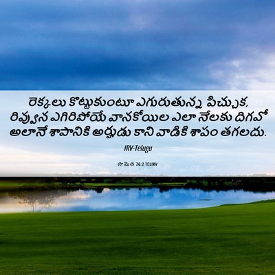Picture 06 - సామెత 26:2 TELIRV - రెక్కలు - Bible Verse Picture