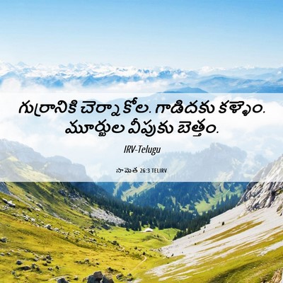 Picture 06 - సామెత 26:3 TELIRV - గుర్రానికి - Bible Verse Picture
