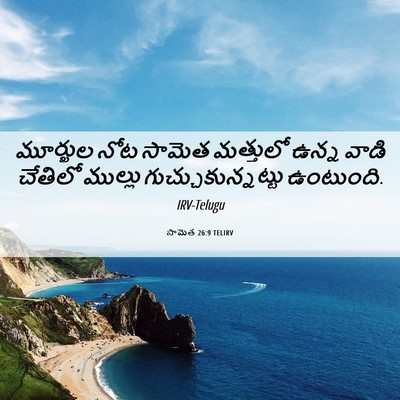 Picture 06 - సామెత 26:9 TELIRV - మూర్ఖుల నోట సామెత - Bible Verse Picture