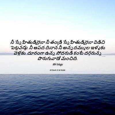 Picture 06 - సామెత 27:10 TELIRV - నీ స్నేహితుడినైనా - Bible Verse Picture