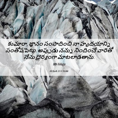 Picture 06 - సామెత 27:11 TELIRV - కుమారా, జ్ఞానం - Bible Verse Picture