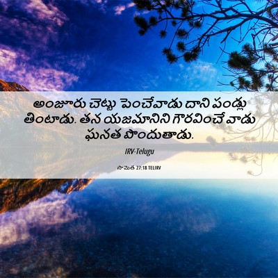 Picture 06 - సామెత 27:18 TELIRV - అంజూరు చెట్టు - Bible Verse Picture