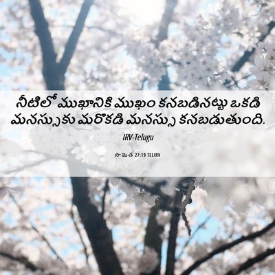 Picture 06 - సామెత 27:19 TELIRV - నీటిలో ముఖానికి - Bible Verse Picture