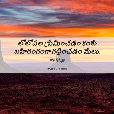 Picture 06 - సామెత 27:5 TELIRV - లోలోపల ప్రేమించడం - Bible Verse Picture