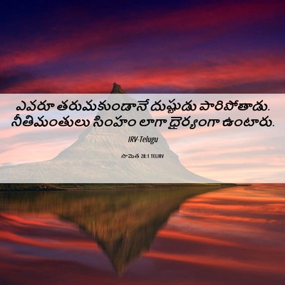 Picture 06 - సామెత 28:1 TELIRV - ఎవరూ తరుమకుండానే - Bible Verse Picture