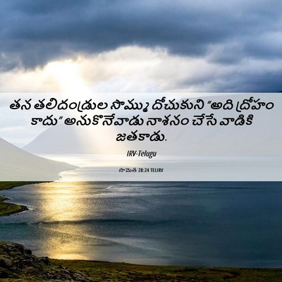 Picture 06 - సామెత 28:24 TELIRV - తన తలిదండ్రుల - Bible Verse Picture