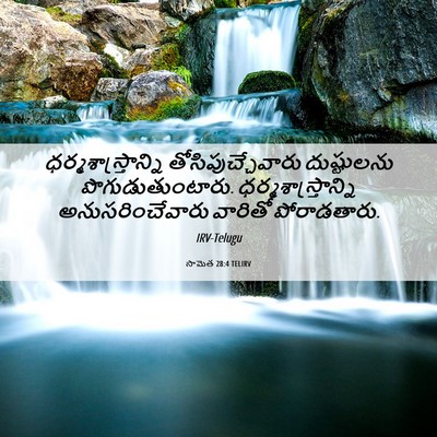 Picture 06 - సామెత 28:4 TELIRV - ధర్మశాస్త్రాన్ని - Bible Verse Picture