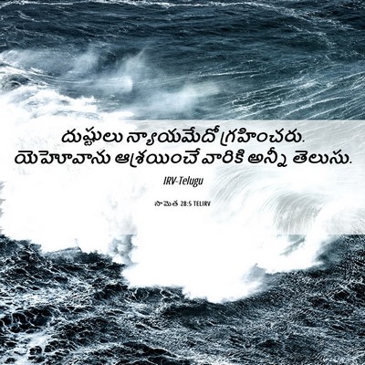 Picture 06 - సామెత 28:5 TELIRV - దుష్టులు - Bible Verse Picture