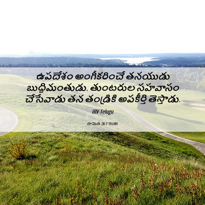 Picture 06 - సామెత 28:7 TELIRV - ఉపదేశం అంగీకరించే - Bible Verse Picture