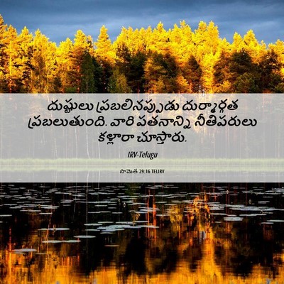 Picture 06 - సామెత 29:16 TELIRV - దుష్టులు - Bible Verse Picture