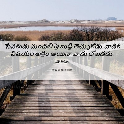 Picture 06 - సామెత 29:19 TELIRV - సేవకుడు మందలిస్తే - Bible Verse Picture