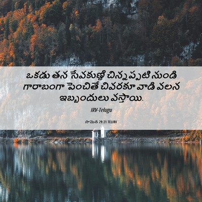 Picture 06 - సామెత 29:21 TELIRV - ఒకడు తన సేవకుణ్ణి - Bible Verse Picture