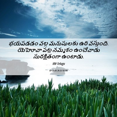 Picture 06 - సామెత 29:25 TELIRV - భయపడడం వల్ల - Bible Verse Picture