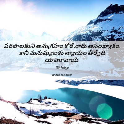 Picture 06 - సామెత 29:26 TELIRV - పరిపాలకుని - Bible Verse Picture