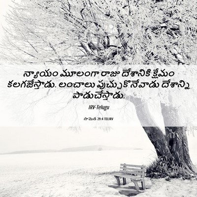 Picture 06 - సామెత 29:4 TELIRV - న్యాయం మూలంగా - Bible Verse Picture
