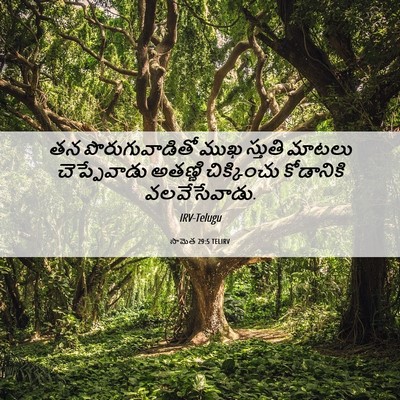 Picture 06 - సామెత 29:5 TELIRV - తన పొరుగువాడితో - Bible Verse Picture