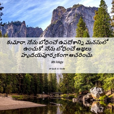 Picture 06 - సామెత 3:1 TELIRV - కుమారా, నేను - Bible Verse Picture