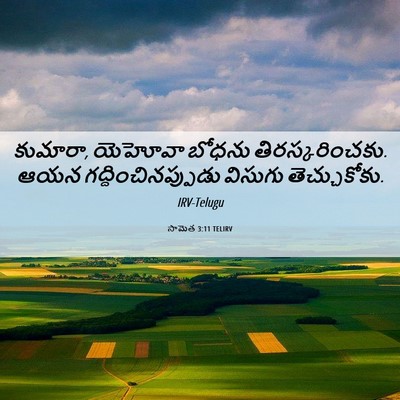 Picture 06 - సామెత 3:11 TELIRV - కుమారా, యెహోవా - Bible Verse Picture
