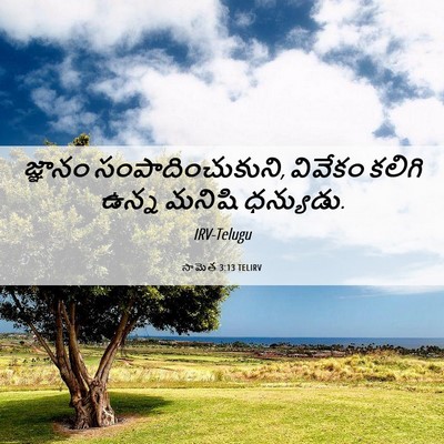 Picture 06 - సామెత 3:13 TELIRV - జ్ఞానం - Bible Verse Picture