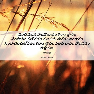 Picture 06 - సామెత 3:14 TELIRV - వెండి వలన పొందే - Bible Verse Picture