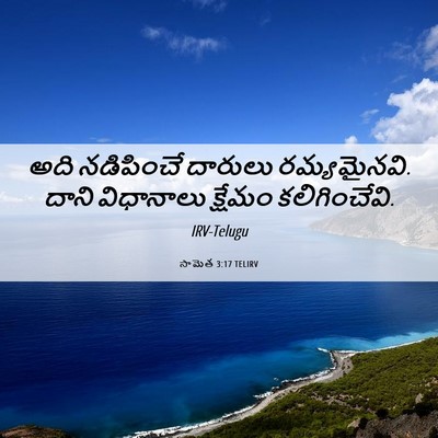 Picture 06 - సామెత 3:17 TELIRV - అది నడిపించే - Bible Verse Picture