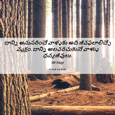 Picture 06 - సామెత 3:18 TELIRV - దాన్ని అనుసరించే - Bible Verse Picture