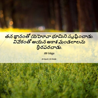 Picture 06 - సామెత 3:19 TELIRV - తన జ్ఞానంతో - Bible Verse Picture