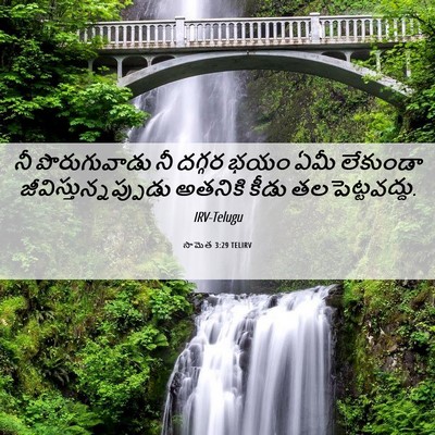 Picture 06 - సామెత 3:29 TELIRV - నీ పొరుగువాడు నీ - Bible Verse Picture