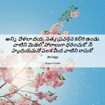 Picture 06 - సామెత 3:3 TELIRV - అన్ని వేళలా దయ, - Bible Verse Picture