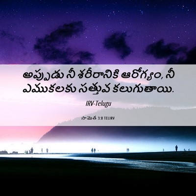 Picture 06 - సామెత 3:8 TELIRV - అప్పుడు నీ - Bible Verse Picture