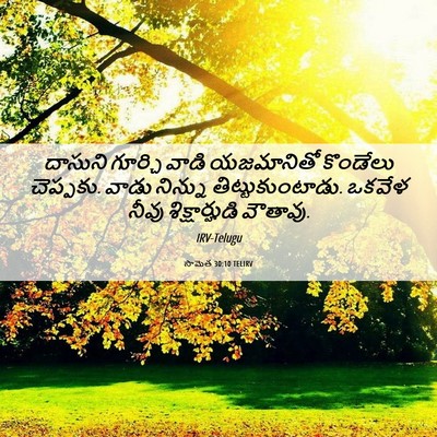 Picture 06 - సామెత 30:10 TELIRV - దాసుని గూర్చి - Bible Verse Picture
